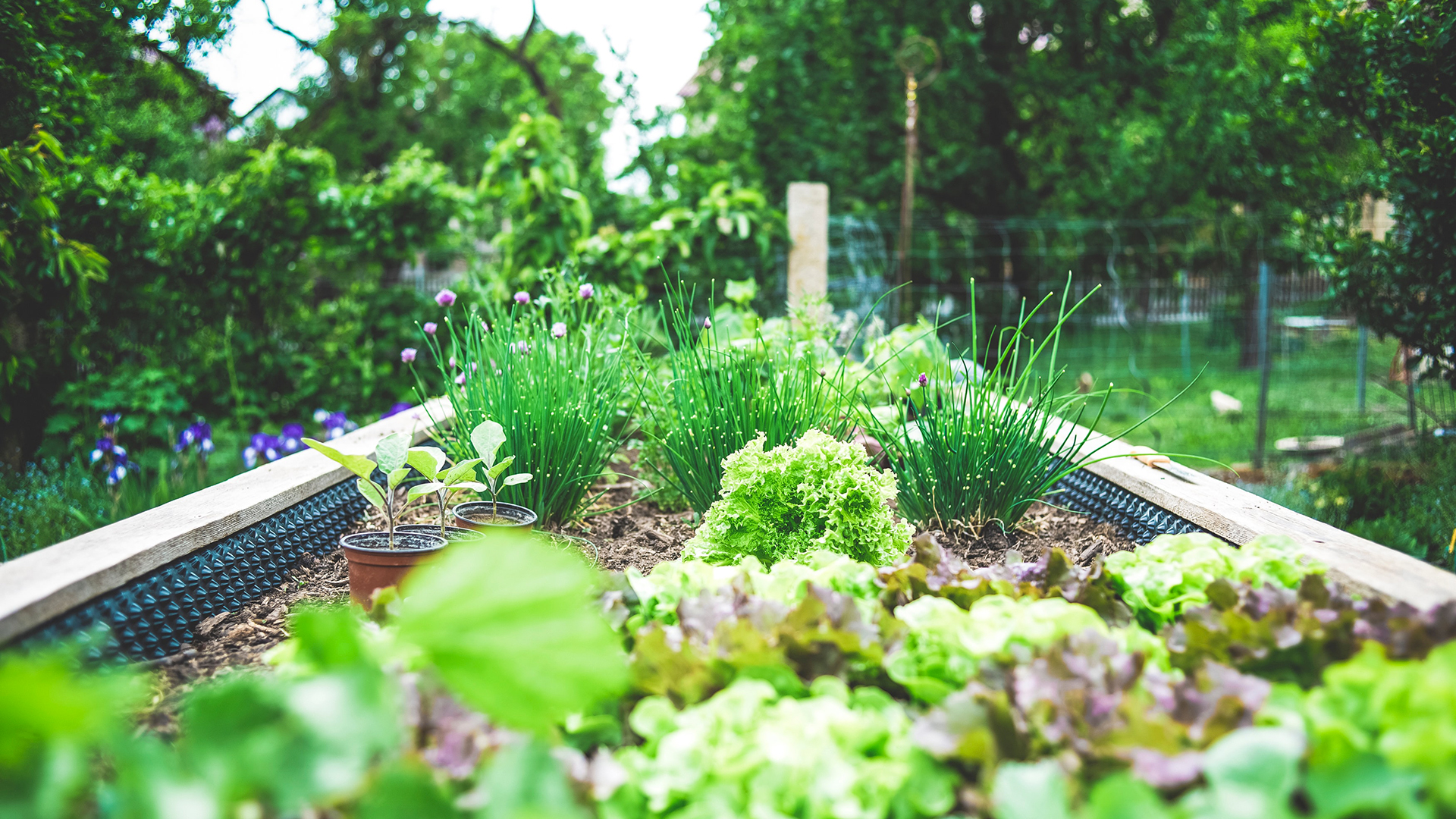 Embracing the Harmony of Home and Garden: A Comprehensive Guide